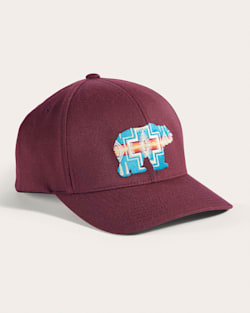 pendleton EMBROIDERED HAT