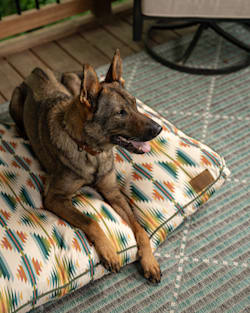 Pendleton FALCON COVE ALL SEASON PET BED - NAPPER