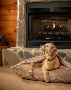 Pendleton GINGER MESILLA BURROW PET BED