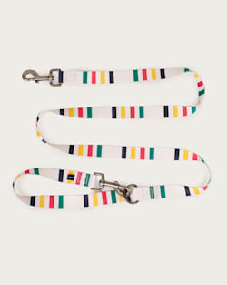 Pendleton GLACIER NATIONAL PARK ADVENTURE LEASH