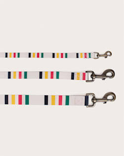 Pendleton GLACIER NATIONAL PARK ADVENTURE LEASH