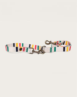 pendleton GLACIER NATIONAL PARK ADVENTURE LEASH