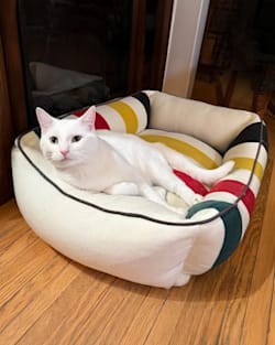 Pendleton GLACIER NATIONAL PARK PET BED - KUDDLER