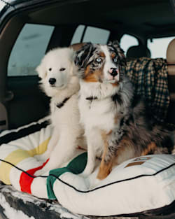 Pendleton GLACIER NATIONAL PARK PET BED - NAPPER