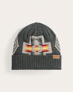 pendleton HARDING MERINO KNIT CAP