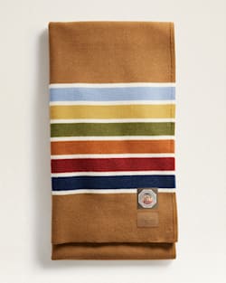 Pendleton JOSHUA TREE NATIONAL PARK BLANKET