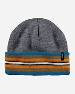 pendleton NATIONAL PARK STRIPE BEANIE