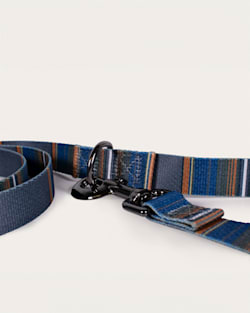 Pendleton OLYMPIC NATIONAL PARK ADVENTURE LEASH