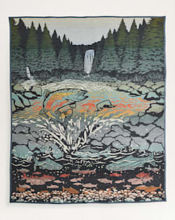 pendleton SALMON FALLS BLANKET