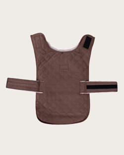 Pendleton SERAPE PET COAT