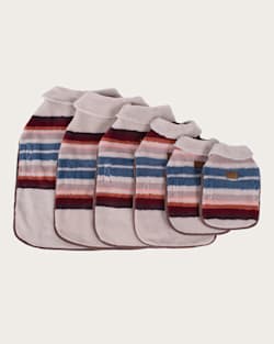 Pendleton SERAPE PET COAT