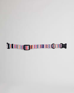 Pendleton TAMIAMI ADVENTURE COLLAR