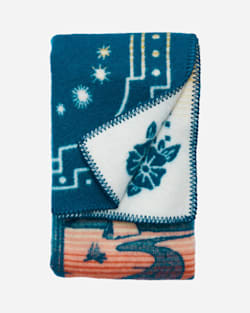 Pendleton WIND RIDERS CRIB BLANKET