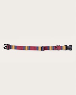 Pendleton ZION NATIONAL PARK ADVENTURE COLLAR