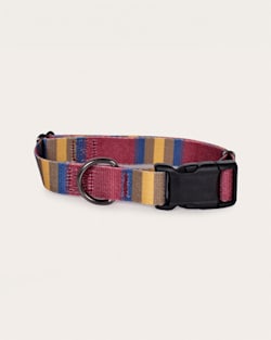 pendleton ZION NATIONAL PARK ADVENTURE COLLAR