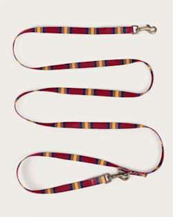 Pendleton ZION NATIONAL PARK ADVENTURE LEASH
