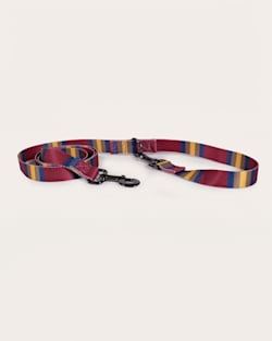 pendleton ZION NATIONAL PARK ADVENTURE LEASH