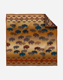 Pendleton PRAIRIE RUSH HOUR THROW AND PILLOW 2 PACK
