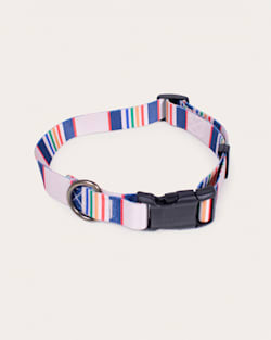 Pendleton YELLOWSTONE NATIONAL PARK ADVENTURE COLLAR
