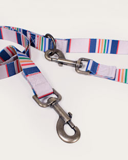 Pendleton YELLOWSTONE NATIONAL PARK ADVENTURE LEASH