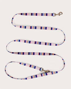 Pendleton YELLOWSTONE NATIONAL PARK ADVENTURE LEASH
