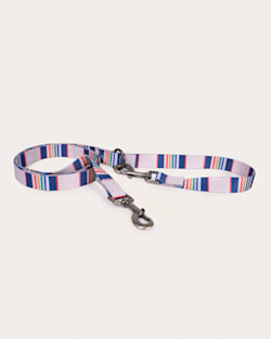 pendleton YELLOWSTONE NATIONAL PARK ADVENTURE LEASH