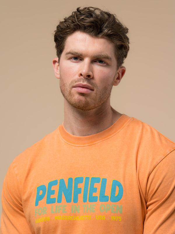 Penfield Retro Print T-Shirt In Golden Ochre