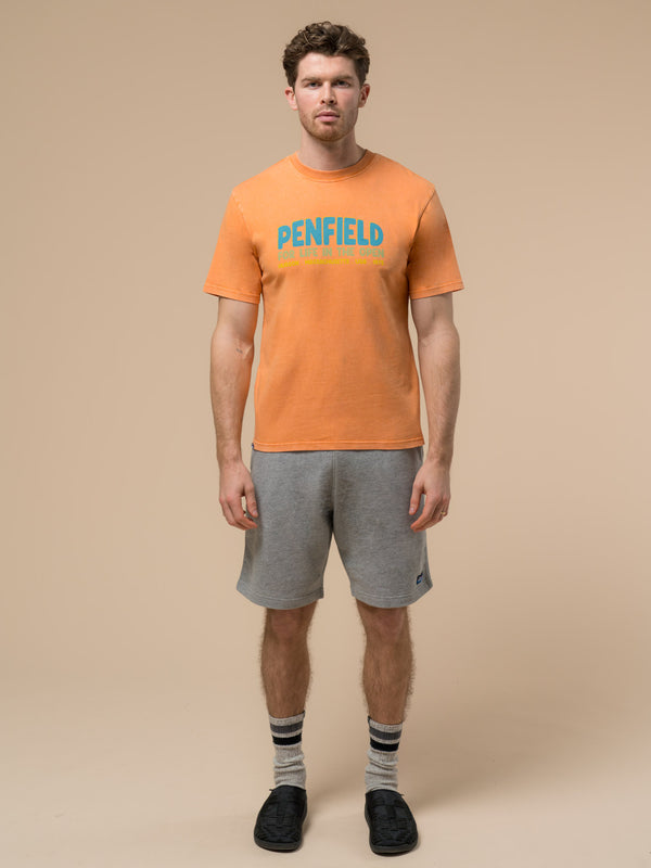 Penfield Retro Print T-Shirt In Golden Ochre