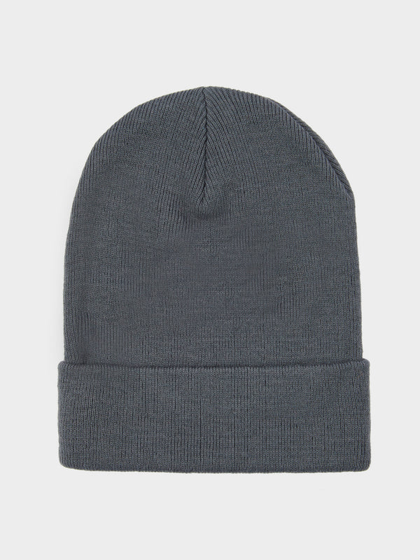 Penfield Reverse Badge Beanie In Castlerock