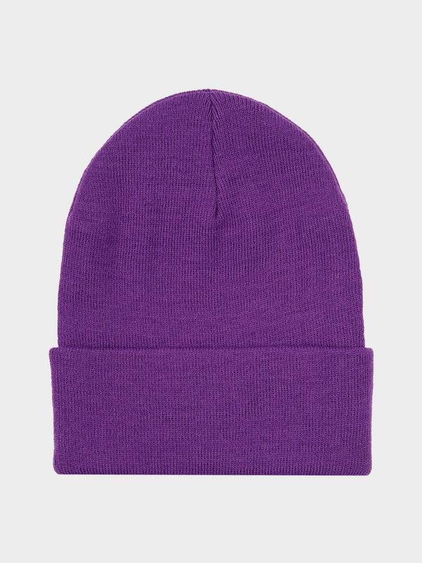 Penfield Reverse Badge Beanie In Pansy
