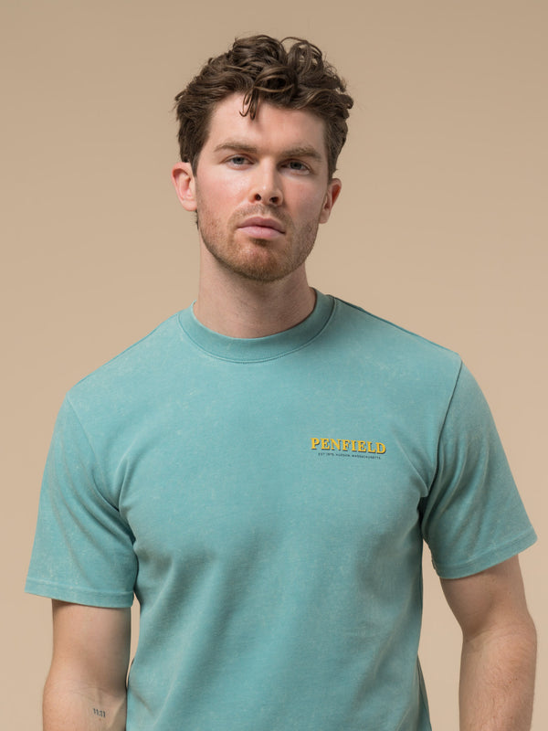 Penfield Whale Scene T-Shirt In Dusty Turquoise