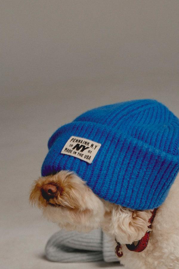 penn & ink BEANIE (W25B354) ROYAL BLUE