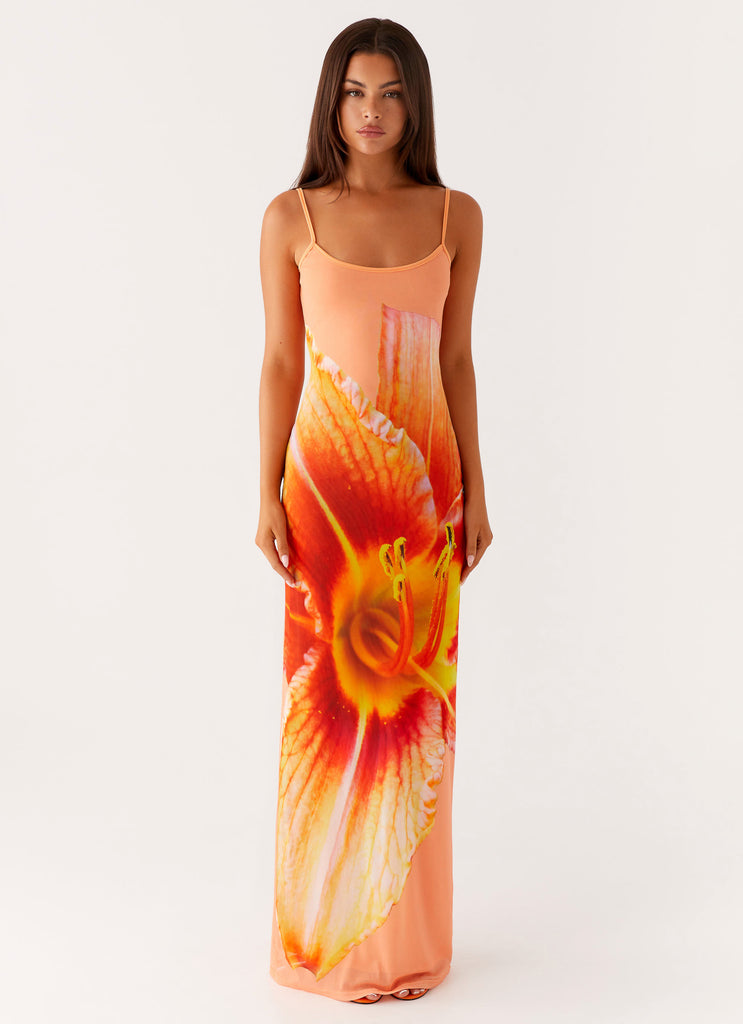 Peppermayo Peppermayo Exclusive - Bad News Mesh Maxi Dress - Orange Floral