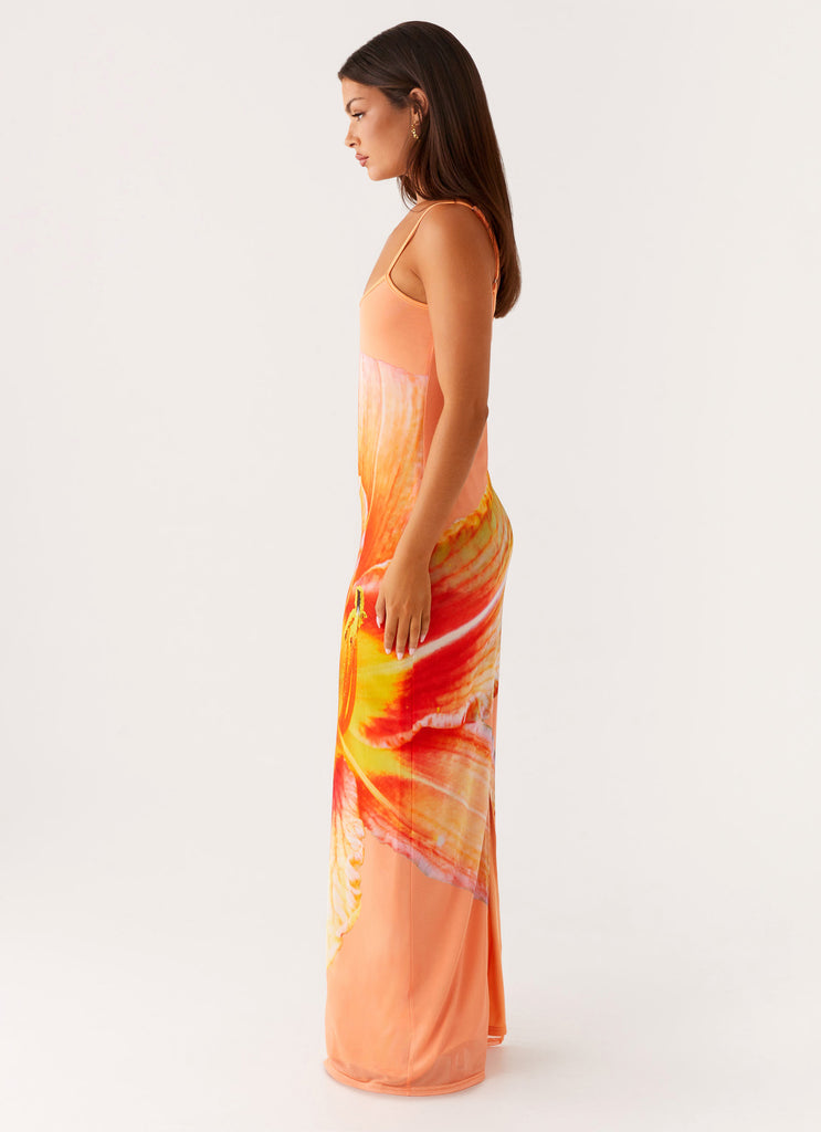 Peppermayo Peppermayo Exclusive - Bad News Mesh Maxi Dress - Orange Floral