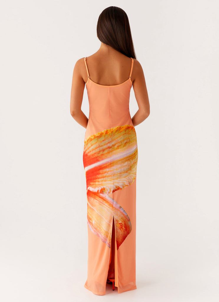 Peppermayo Peppermayo Exclusive - Bad News Mesh Maxi Dress - Orange Floral