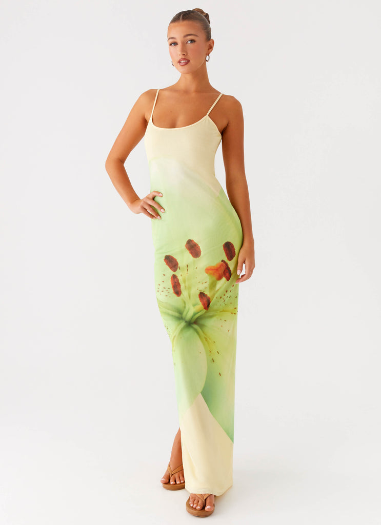 Peppermayo Peppermayo Exclusive - Bad News Mesh Maxi Dress - Yellow Lily