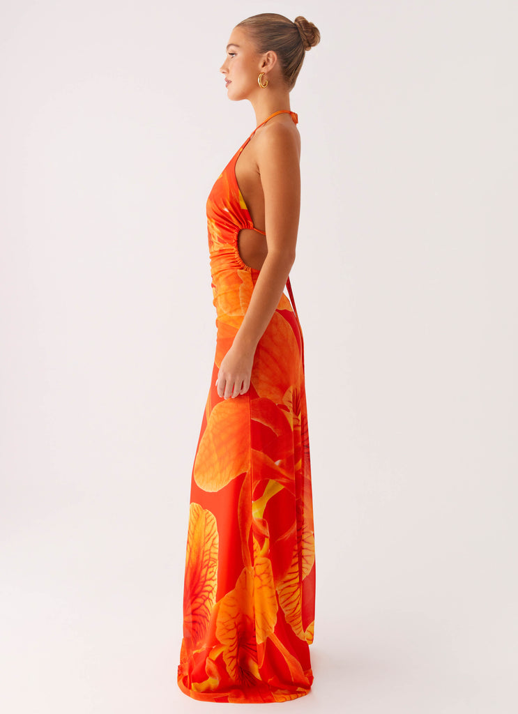 Peppermayo Peppermayo Exclusive - Palawan Mesh Maxi Dress - Orange Floral