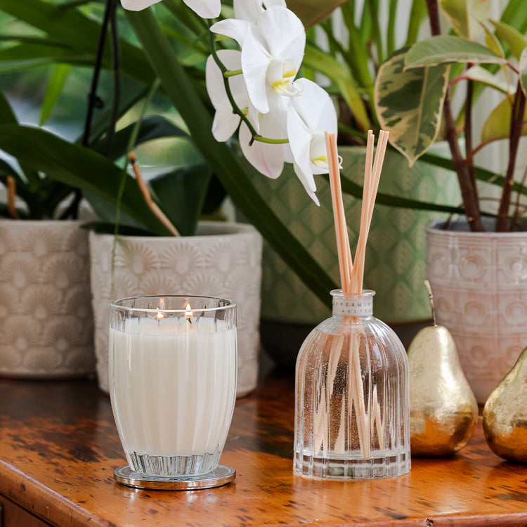 peppermint grove Wild Jasmine & Mint Soy Candle 370g