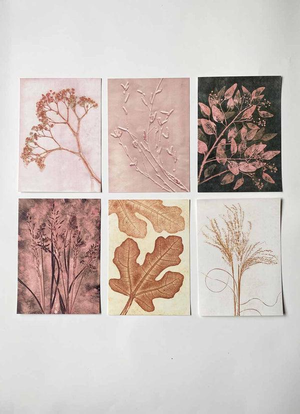 Pernille Folcarelli A5 Print Collection Blush/ochre