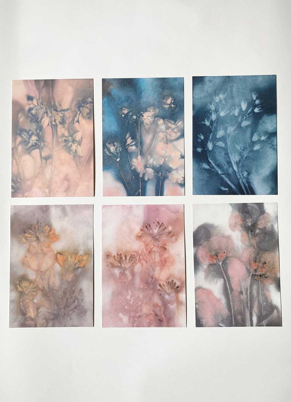 Pernille Folcarelli A5 Print Collection Floating Flowers