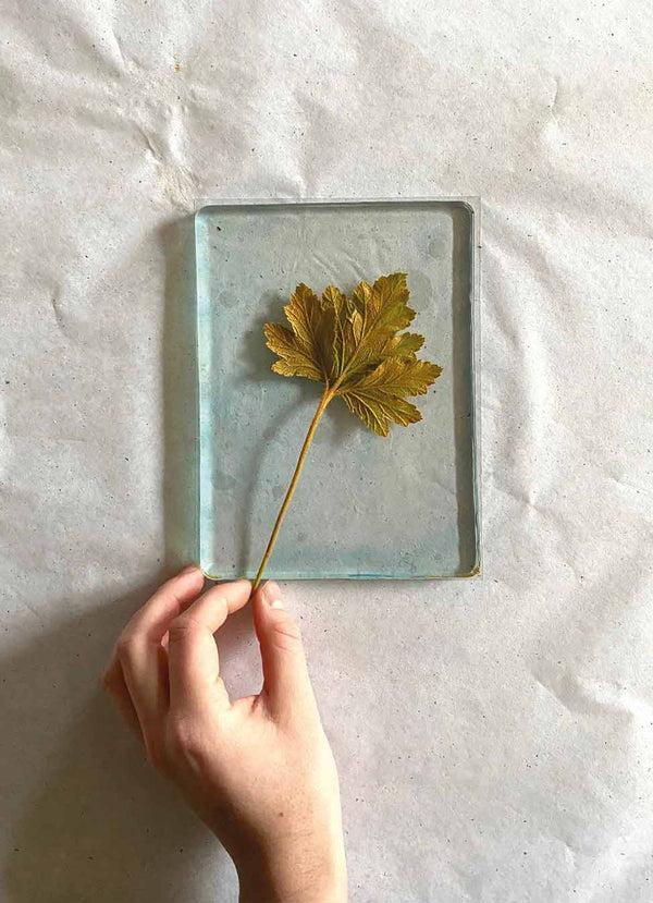 Pernille Folcarelli DIY - Gelli Arts Gel Printing Plate 12 7×17 8 Cm / 5×7"