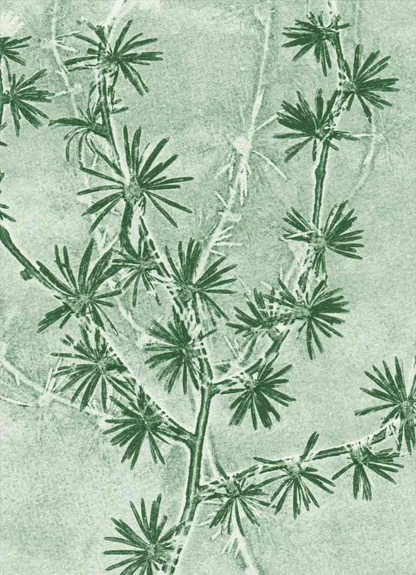 Pernille Folcarelli A5 Larch green double card