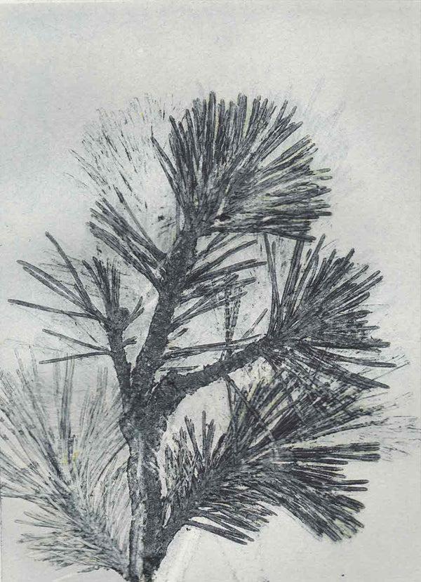 Pernille Folcarelli A5 Pine double card