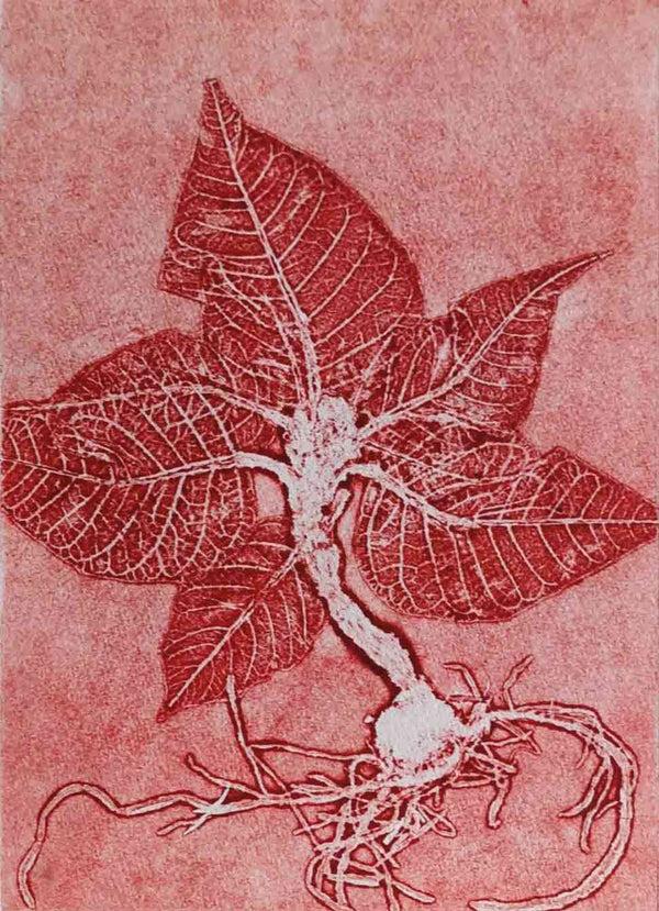 Pernille Folcarelli A5 Poinsettia double card