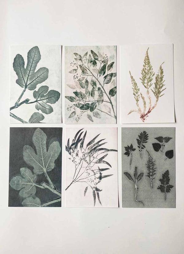 Pernille Folcarelli A5 Print Collection Green