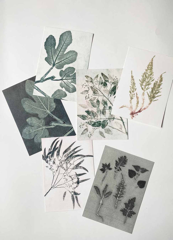 Pernille Folcarelli A5 print collection green