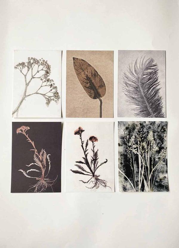 Pernille Folcarelli A5 Print Collection Grey/brown