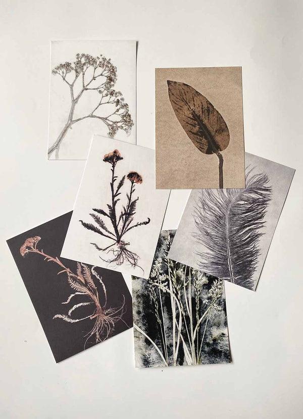 Pernille Folcarelli A5 print collection grey/brown