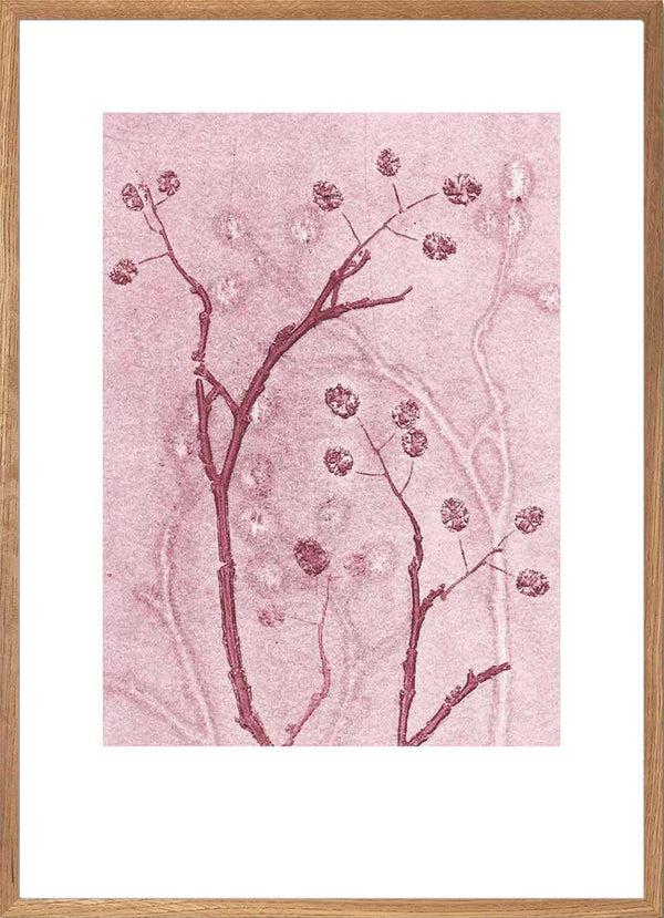 Pernille Folcarelli Alder Blush