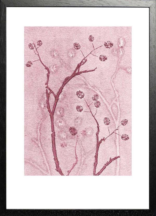 Pernille Folcarelli Alder Blush
